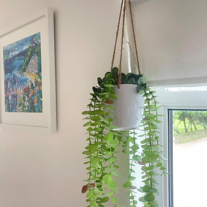 Sunnyside At Scurlage Farm Apartment Суонзи Екстериор снимка